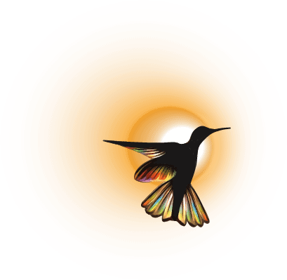 Logo Icon